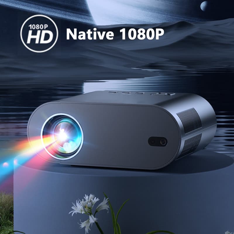 2025 Huaweishi L007  4K 1000AN - Home Cinema Setup 评论和价格